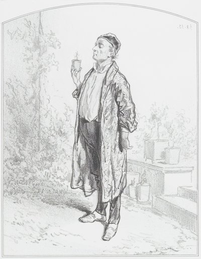 Le cineraria candidissima, Tavola 3 da Les Toquades, 1858 da Paul Gavarni